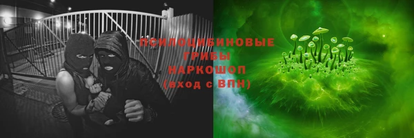 дживик Абинск