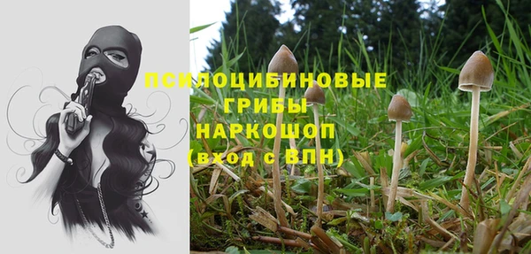 дживик Абинск