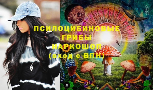 дживик Абинск