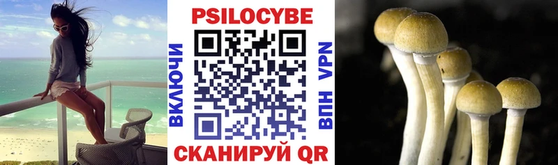Псилоцибиновые грибы прущие грибы гидра маркетплейс Агидель